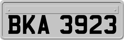 BKA3923