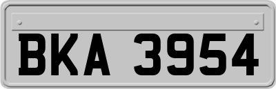 BKA3954