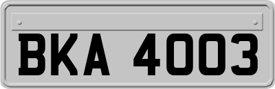 BKA4003