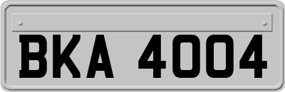 BKA4004