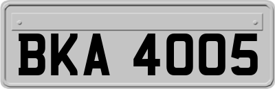 BKA4005