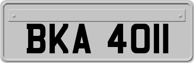 BKA4011