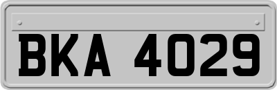 BKA4029