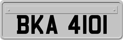 BKA4101