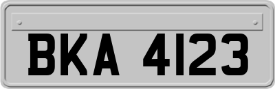 BKA4123