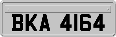 BKA4164