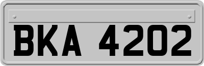 BKA4202