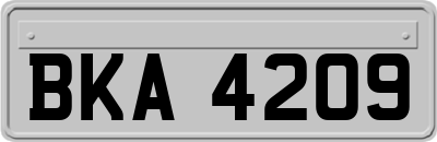 BKA4209