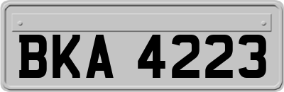 BKA4223
