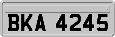 BKA4245