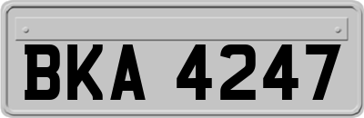 BKA4247