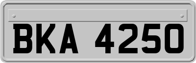 BKA4250