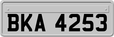 BKA4253