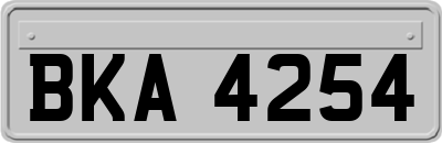 BKA4254