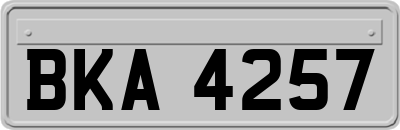BKA4257