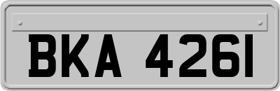 BKA4261