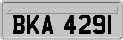 BKA4291