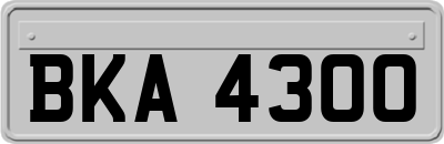BKA4300