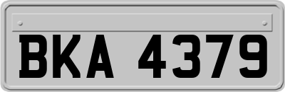 BKA4379
