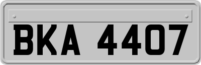 BKA4407