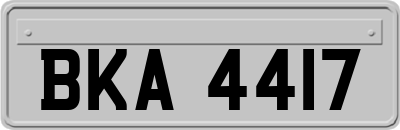 BKA4417