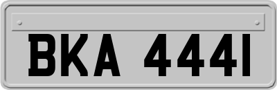 BKA4441