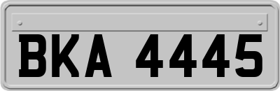 BKA4445