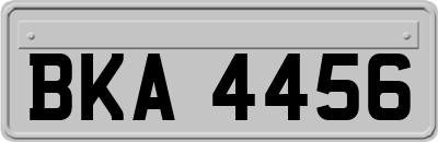 BKA4456