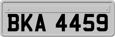 BKA4459