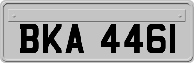 BKA4461