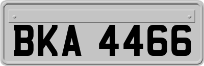 BKA4466