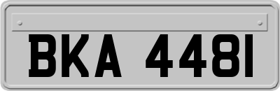 BKA4481