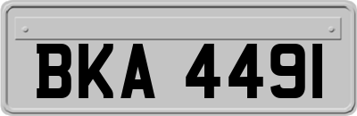 BKA4491