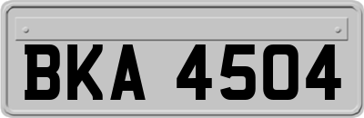 BKA4504