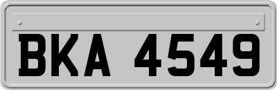 BKA4549
