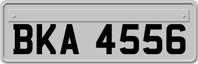 BKA4556