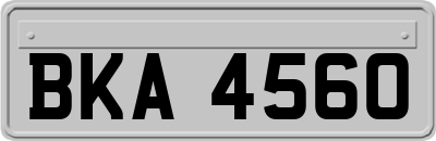 BKA4560