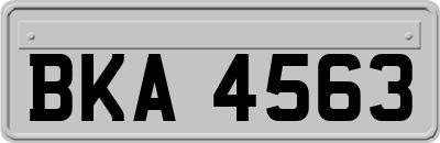 BKA4563