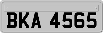 BKA4565