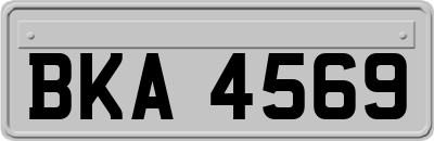 BKA4569