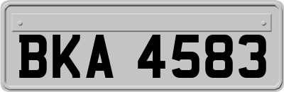BKA4583