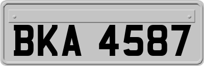 BKA4587