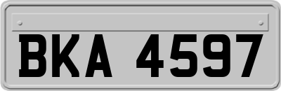BKA4597