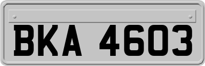 BKA4603