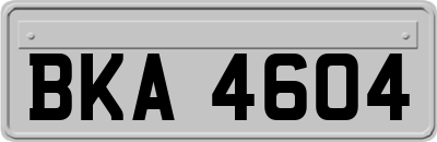 BKA4604