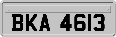 BKA4613