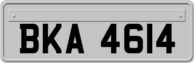 BKA4614