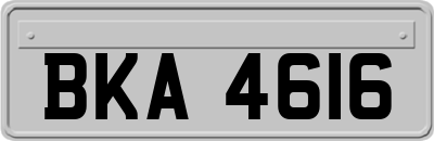 BKA4616