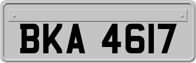 BKA4617