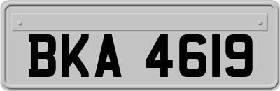 BKA4619